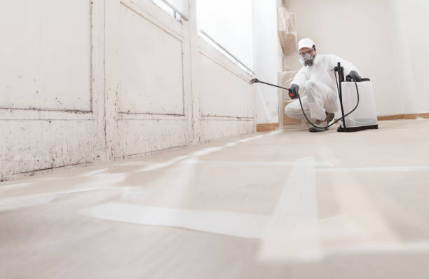 24/7 Emergency Basement Mold Remediation experts in Vincentown, NJ