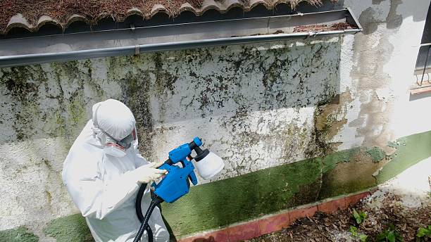 Top rated local Basement Mold Remediation specialists in Vincentown, NJ